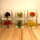 Flower preserved in resin | Friendship gift, best friend, gift for her, anniversary gift, wedding gifts