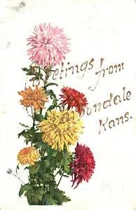 Vintage Postcard 1902 Greeting From Carbondale Kansas Colorful Flowers Carnation