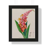 Rare Ginger Orchid framed wall art  ~ Academia Print ~ Vintage Botanical Art Print ~ Plant lovers print ~ Tropical Aesthetic ~ Rare Flower
