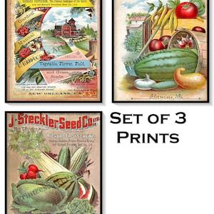 Green's Berries, Fruit, Raspberry, Peach, Vintage Seed Garden Manual Set of 3 Art Prints