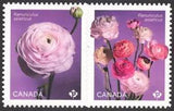 2023 Canada SC# Flowers - Ranunculus - die cut pair from booklet - M-NH -1