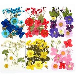 Assorted dried flower mix for epoxy necklace crafts: blue, red, yellow, purple, pink
