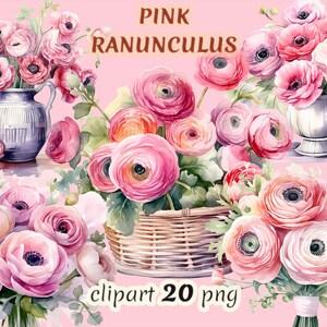 Watercolor pink ranunculus clipart, romantic bouquet, pink wedding, floral wreath, floral basket, garden flowers