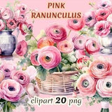 Watercolor pink ranunculus clipart, romantic bouquet, pink wedding, floral wreath, floral basket, garden flowers