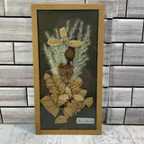 vintage dried pressed flowers collarge flower taxidermy convex small framed art