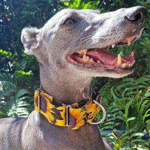 Sunflower martingale dog collar | Black & Yellow | Floral | Bright | Girl | Flower | Greyhound | Whippet | Custom size | Wide | Collar
