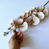 Wedding Orchids, Orchidaceae, Orchid Flowers, Artificial orchid, Artificial flowers, Soft touch Faux flowers, phanelopsis heads, 1 stem