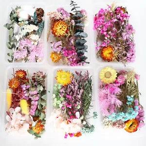 Mixed Dried Flower Plants DIY Aromatherapy Candle Epoxy Filling Making Accessory