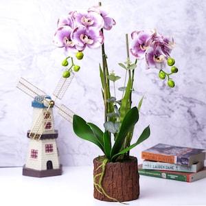 Artificial Orchid Plant, Velvet Touch, With Rustic Wooden Log Like Planter, Indoor Fake Plant