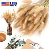 100PCS DIY Natural Dried Pampas Grass Bouquet Dried Flowers for Boho Home Decor