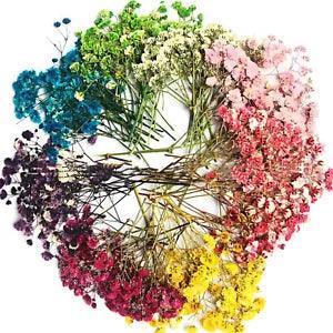 Flowers Small Natural Dried Floral Plants Mini Real Bouquets Home...