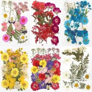 Real Dried Flowers Dry Plants Pressed Flower Epoxy Resin Fillings Nail Crafts
