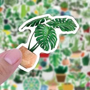 Assorted Green Plant Sticker Pack - House Plant Stickers - Waterproof - Scrapbook - Bullet Journal