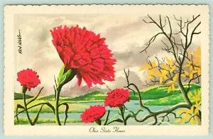 NEW LISTINGOhio State Flower~Scarlet Carnation~Billowing Clouds~Artist 1967 Ken Haag