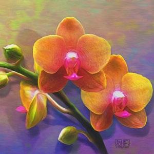 Two Orchids