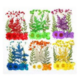Pressed Flower Mixed Dried Flowers DIY Art Floral DIY Art Floral Gift CraftBLgo
