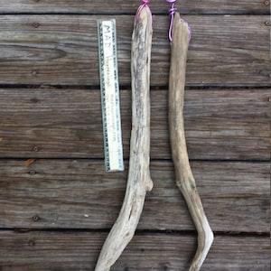 Driftwood mounting for orchid epiphyte air plant attached hanging wire