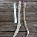 Driftwood mounting for orchid epiphyte air plant attached hanging wire