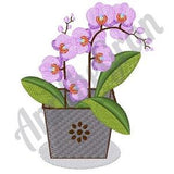 Potted Orchid Embroidery Design. Machine Embroidery Design. Orchid Bucket Pattern. Orchid Pattern. Flower Pot Design. Floral Pot Embroidery