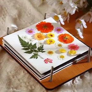 Press Flower Set Flower Pressing Supplies Professional Wooden Plates 5 Layers
