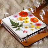Press Flower Set Flower Pressing Supplies Professional Wooden Plates 5 Layers