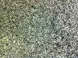 MARSHMALLOW LEAF - HIGH QUALITY - USDA Organic GRADE-A Herb - 2 OZ OUNCES