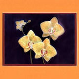 Tiger Orchids 2021 - 8"x10" Double matted archival prints entirely made by Native American Artist Daniel Ramirez
