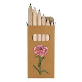 6 x 'Carnation Flower' Short 85mm Pencils / Coloured Pencil Set (PE00050074)