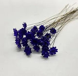 100 Stems Natural Dry Flowers Brazilian Small Star Daisy Decorative Dried