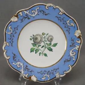 Rockingham Ranunculus Flower Blue & Gold Rococo Scrollwork 9 3/8 Inch Plate