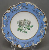 Rockingham Ranunculus Flower Blue & Gold Rococo Scrollwork 9 3/8 Inch Plate