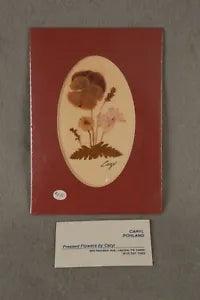 Pressed Dried Flowers Signed Caryl Pohland Rectangle Matt Oval Cut Out Mauve