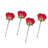 12 pcs nail art dried flowers Flat Dried Flowers Diy Pressed Flowers Bookmarks