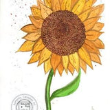 Ukraine - A Single sunflower on a white background. An unofficial Ukrainian symbol, and a symbol of peace - Original - Size: 7.5 x 10.25 in