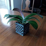 Orchid Square planter with diamond pattern