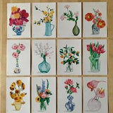 BOUQUETS - 12 postcards - postal cards - flowers - flowers