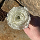 Ivory Lace Roses with Stems, Lace Flower Bouquet, Lace Flowers, Lace Roses, 13th Wedding Anniversary Gift, Lace Gift for Her, Thirteenth