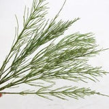 12PCS Real Pressed Dry grass with stem, floral supply leaves for art craft FSS66