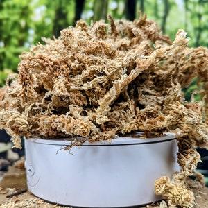 1 Gallon Long Fiber New Zealand Sphagnum Moss 5oz [140 Grams]
