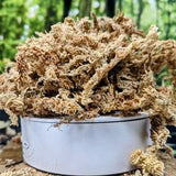 1 Gallon Long Fiber New Zealand Sphagnum Moss 5oz [140 Grams]