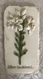 Decoline Floral Wall Plaque - Lily