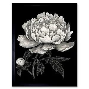 A Peony Flower Bloom Black and White Blind Contour Framed Wall Art Print 12x16