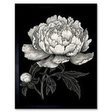 A Peony Flower Bloom Black and White Blind Contour Framed Wall Art Print 12x16