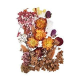 Real Dried Flowers For DIY Epoxy Resin Pendant Jewellery Candle Making Art Craft