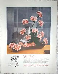 1954 Colorado Carnations Vintage Print Ad Flower Growers Gift Men Women Beauty