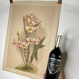 Rare 1800's Original Reichenbachia Orchid Lithograph (Dendrobium wardianum) Tab 9