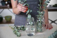 How to Grow Eucalyptus Flower Delivery