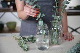 How to Grow Eucalyptus Flower Delivery