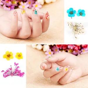12 Types Natural Dried Flowers Set Real Dry Flowers Nail Decoration Manicure DP3