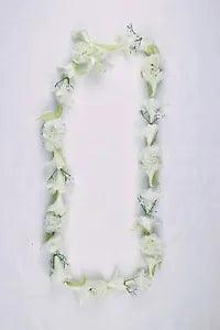 Hawaiian Lei Party Luau Floral Flowers Dance Hawaii White Tuberose Carnation